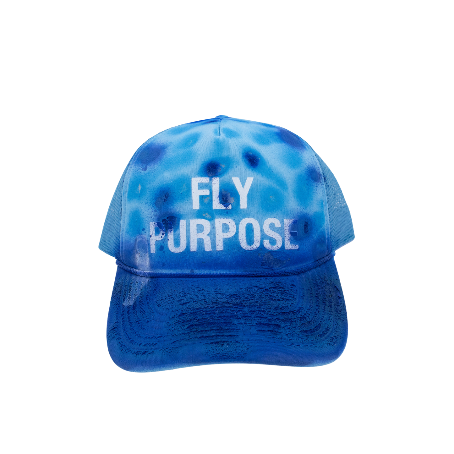 FLY PURPOSE BUSSDOWN  Hat "Blue's Clues"