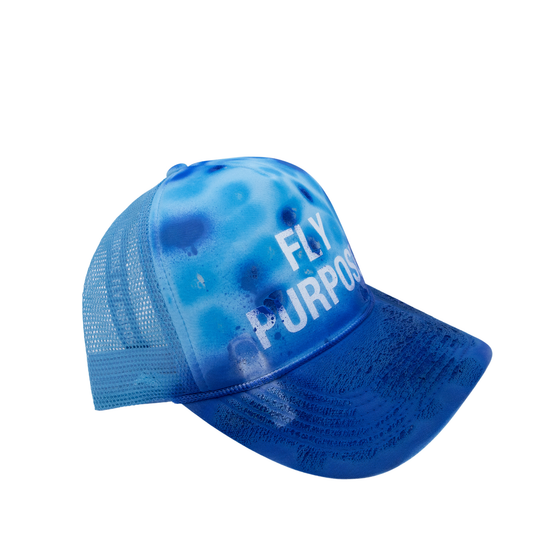 FLY PURPOSE BUSSDOWN  Hat "Blue's Clues"