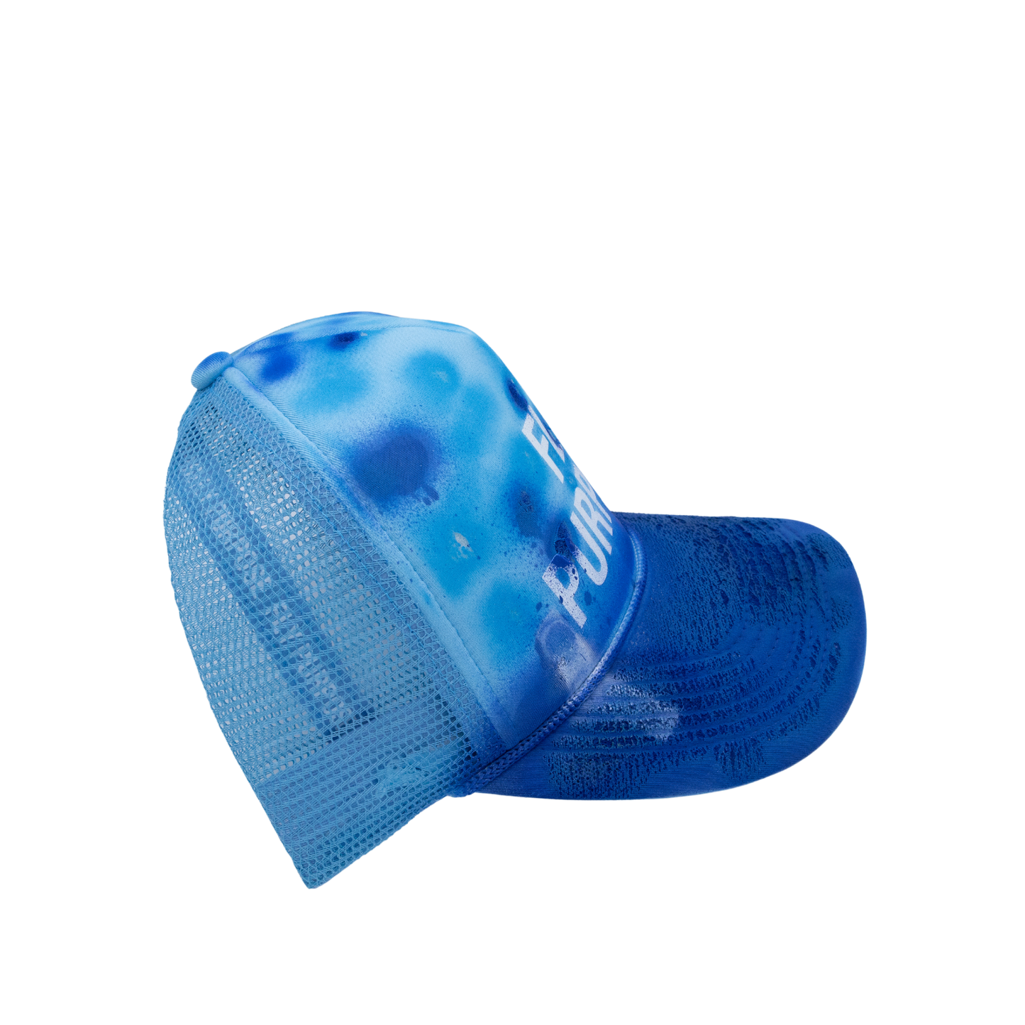 FLY PURPOSE BUSSDOWN  Hat "Blue's Clues"