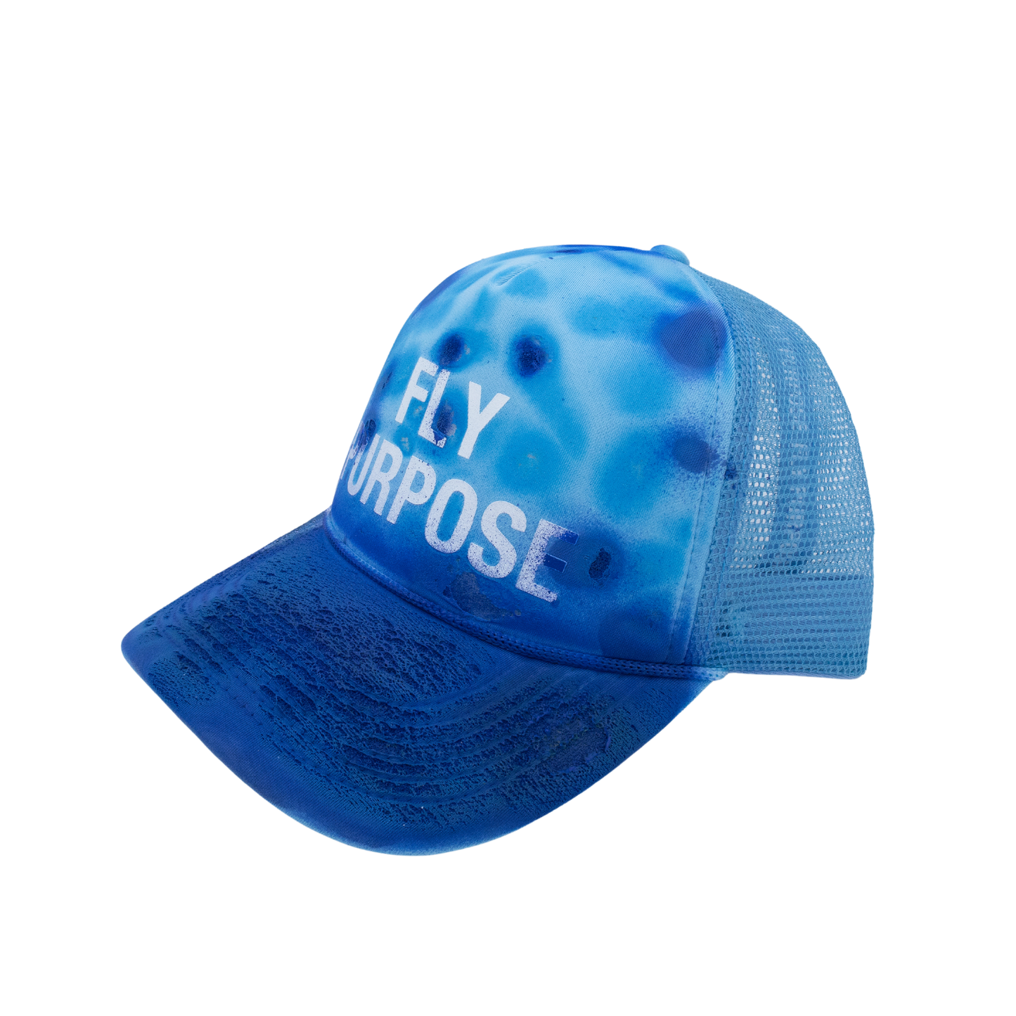 FLY PURPOSE BUSSDOWN  Hat "Blue's Clues"