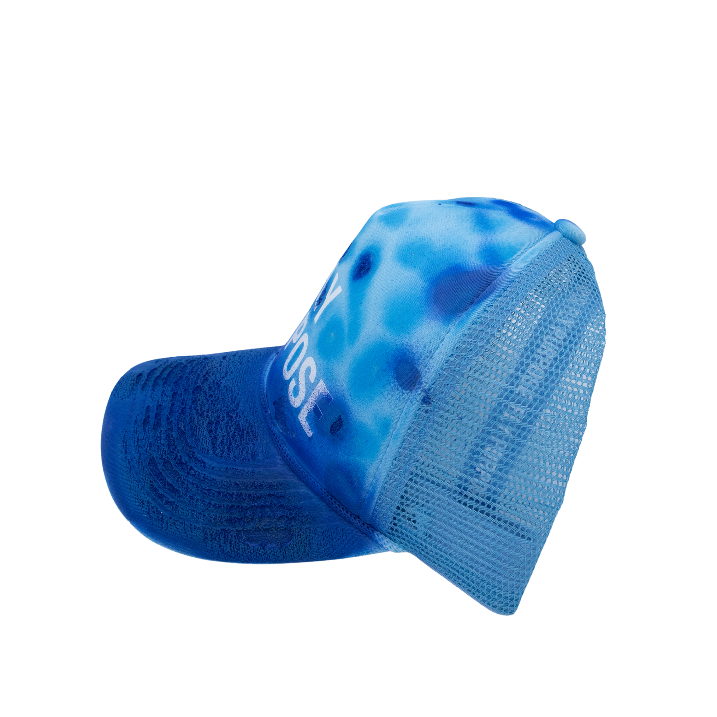 FLY PURPOSE BUSSDOWN  Hat "Blue's Clues"